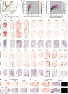 Extended Data Fig. 9