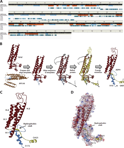 FIGURE 2.