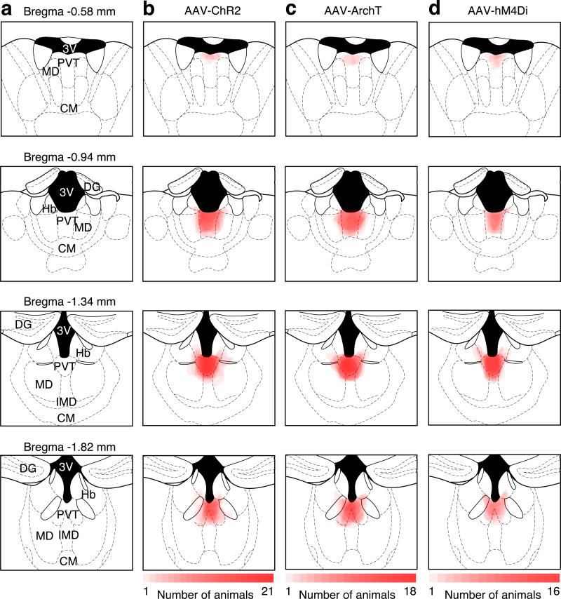 Extended Data Figure 4