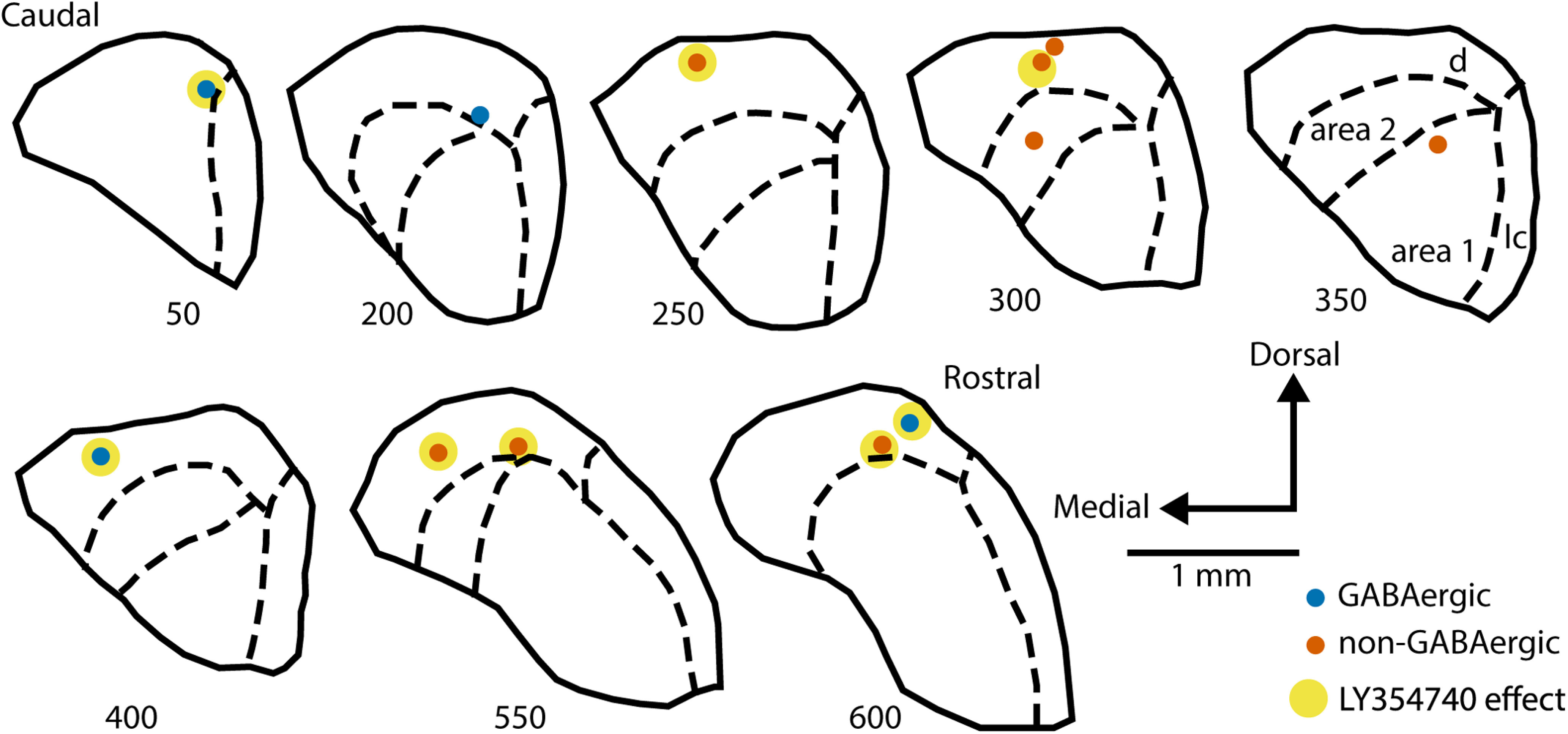 Figure 10.