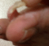 Fig.2