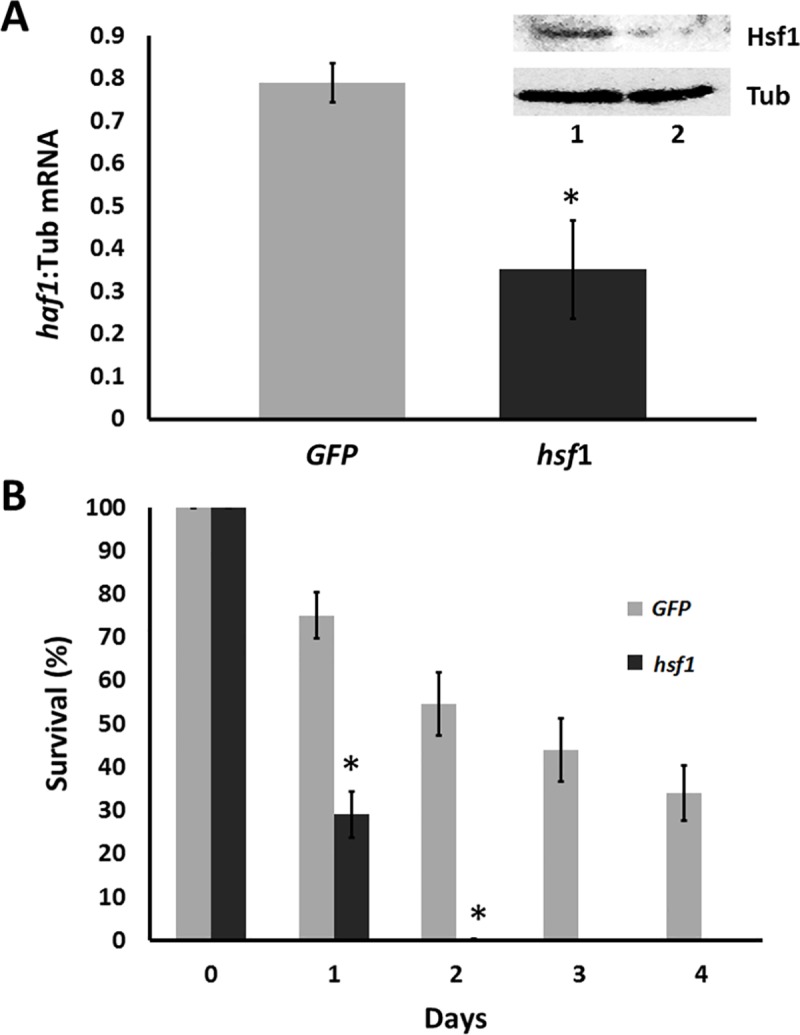 Fig 7