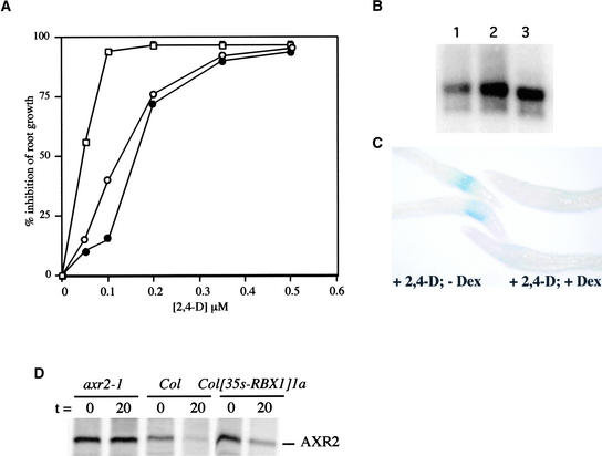 Figure 5.