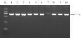 [Table/Fig-3]: