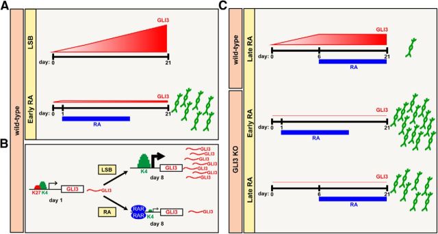 Figure 10.