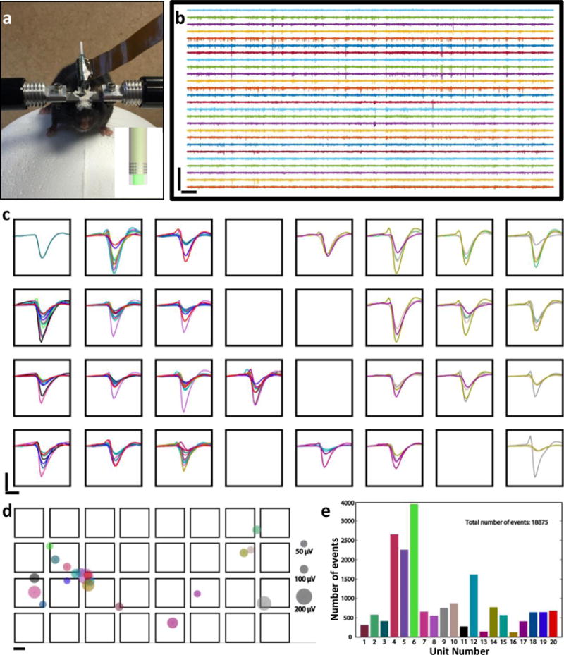 Fig. 3