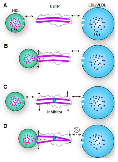 Fig. 6.