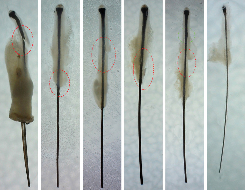 Fig. 2.