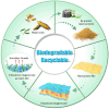 Image, graphical abstract