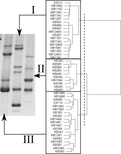 FIG. 4.