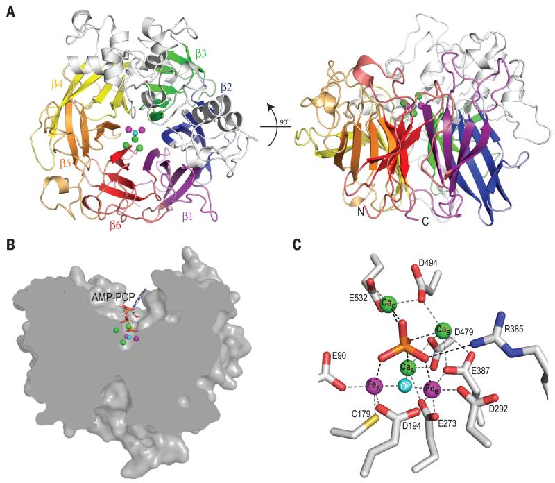 Fig. 2