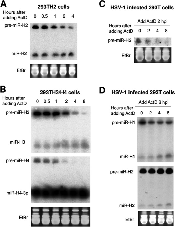 FIG 4