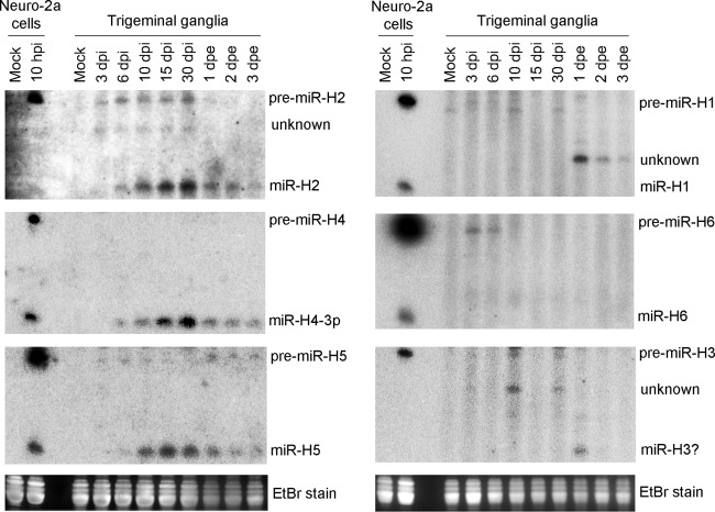 FIG 2