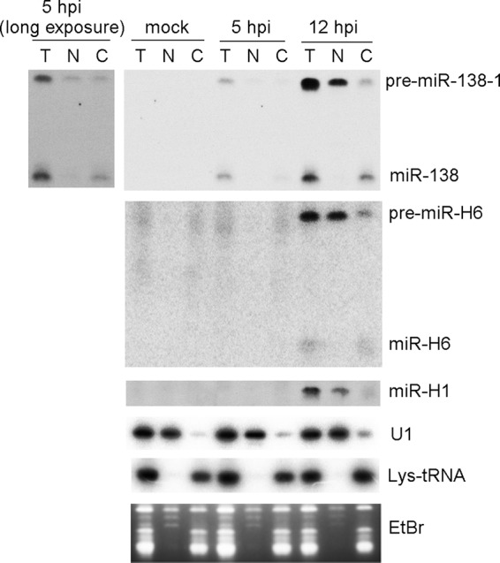 FIG 6