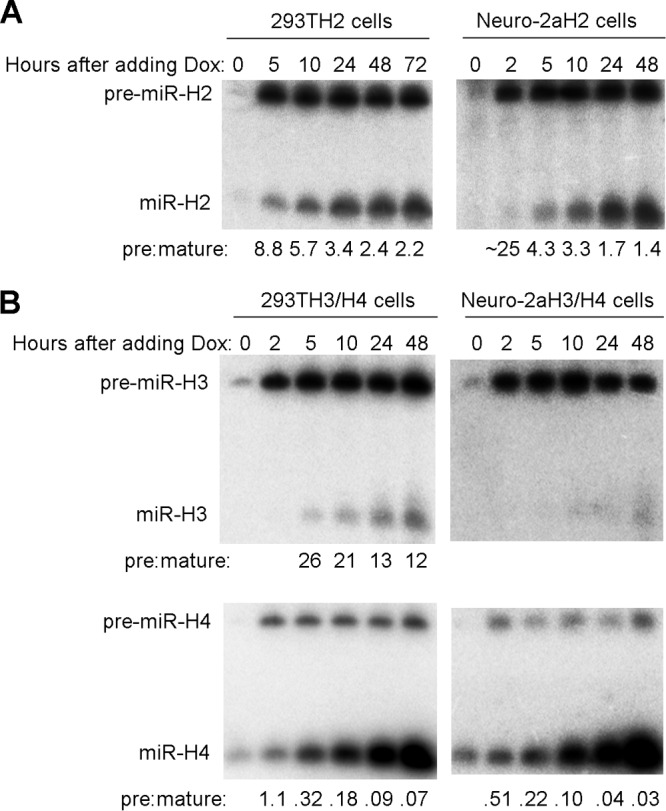 FIG 3