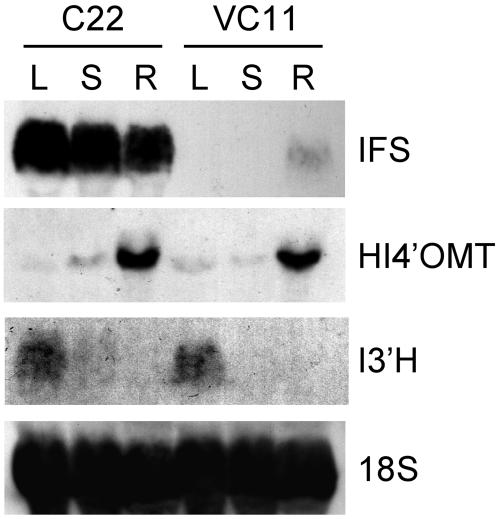 Figure 5.