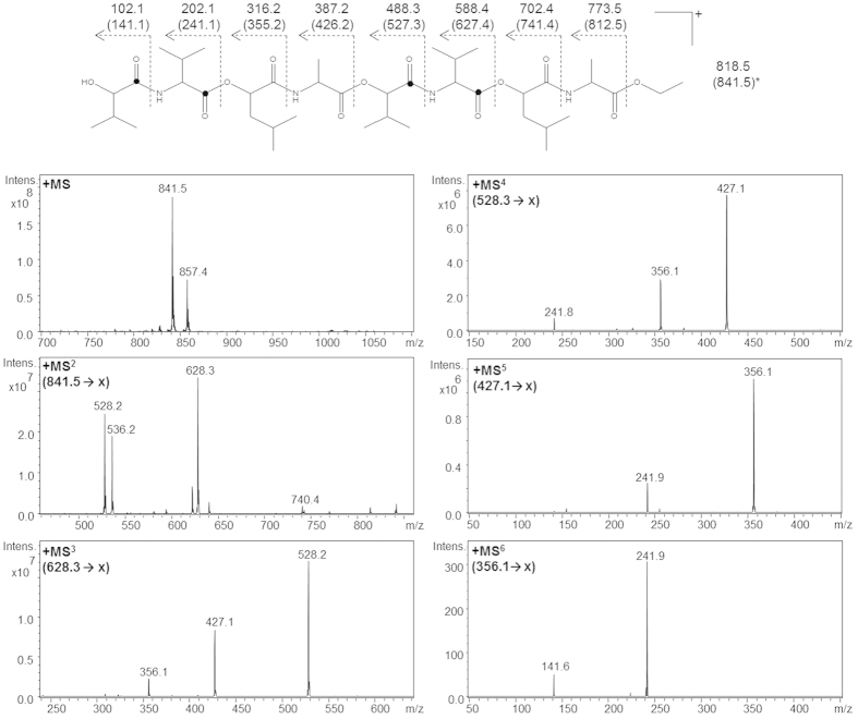 Figure 5