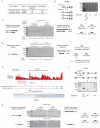 Extended Data Fig. 7