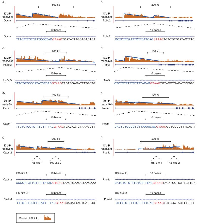 Extended Data Fig. 6