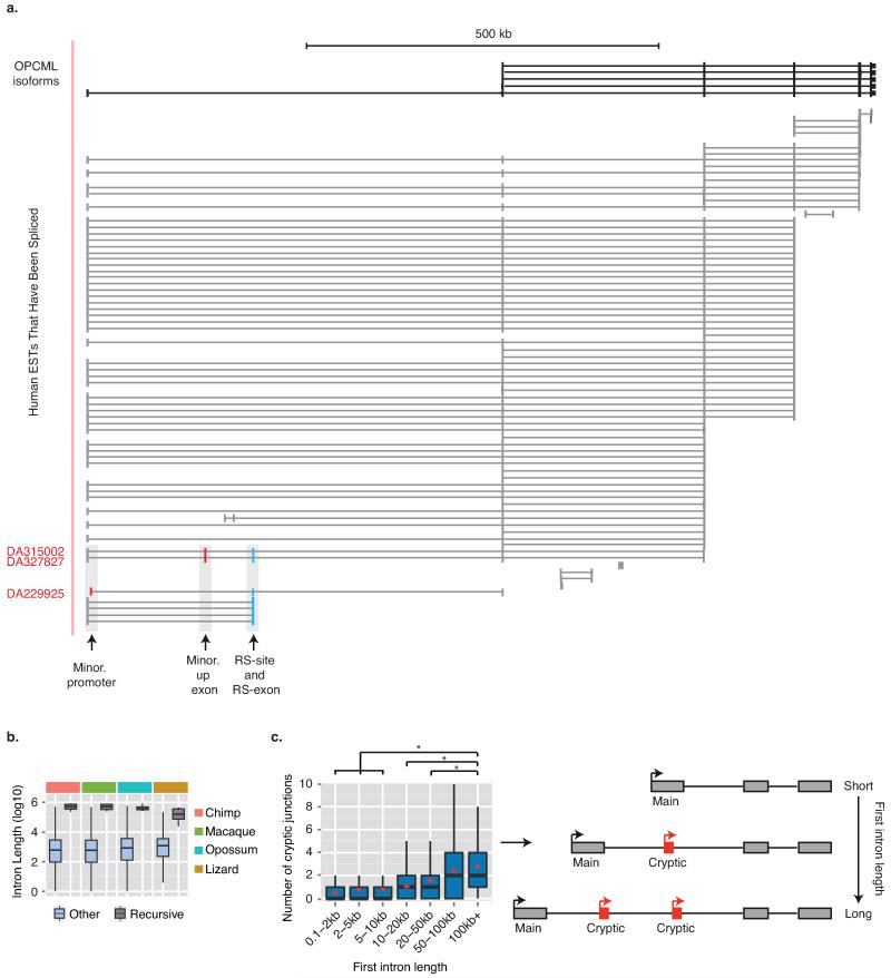 Extended Data Fig. 9