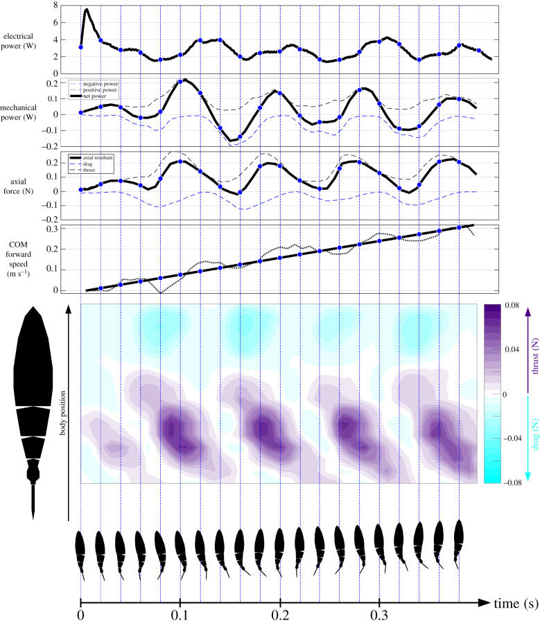 Figure 5. 