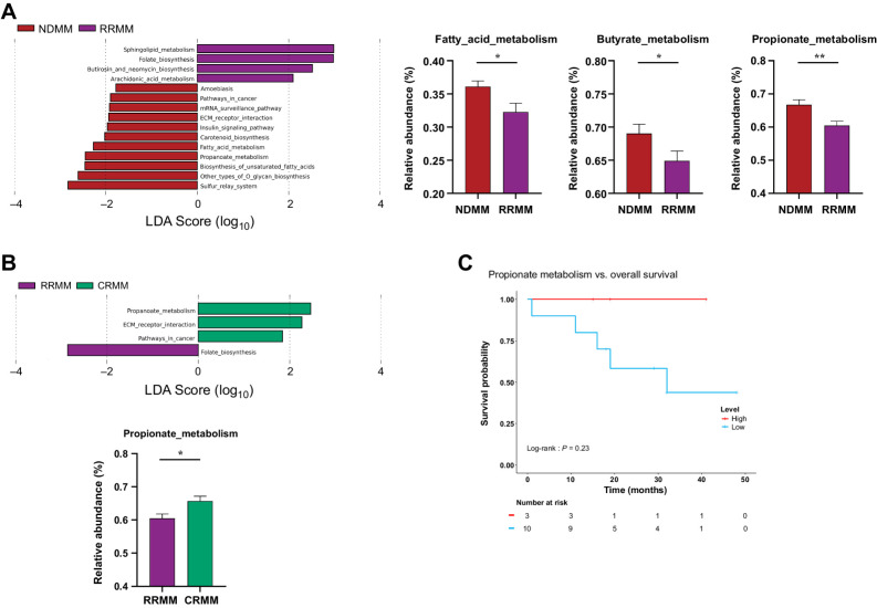 Figure 5. Gut metagenome metabolic pathways. A and B, Linear discriminant analysis (LDA) effect size (LEfSE) analysis showing discriminative Kyoto Encyclopedia of Genes and Genomes (KEGG) metabolic pathways among (A) NDMM and multiple myeloma at relapse or refractory (RRMM); B, RRMM compared with multiple myeloma at complete remission (CRMM). C, Kaplan–Meier curve representation of survival probability in patients after receiving treatment (CRMM and RRMM) with high (red) or low (blue) levels of the propionate metabolism pathway. All KEGG pathways showed statistically significant changes (P < 0.05), with an LDA score threshold set to 2.5. Relative abundance of metabolic pathways related to SCFAs is represented by mean ± SEM. *, P < 0.05; **, P < 0.01.