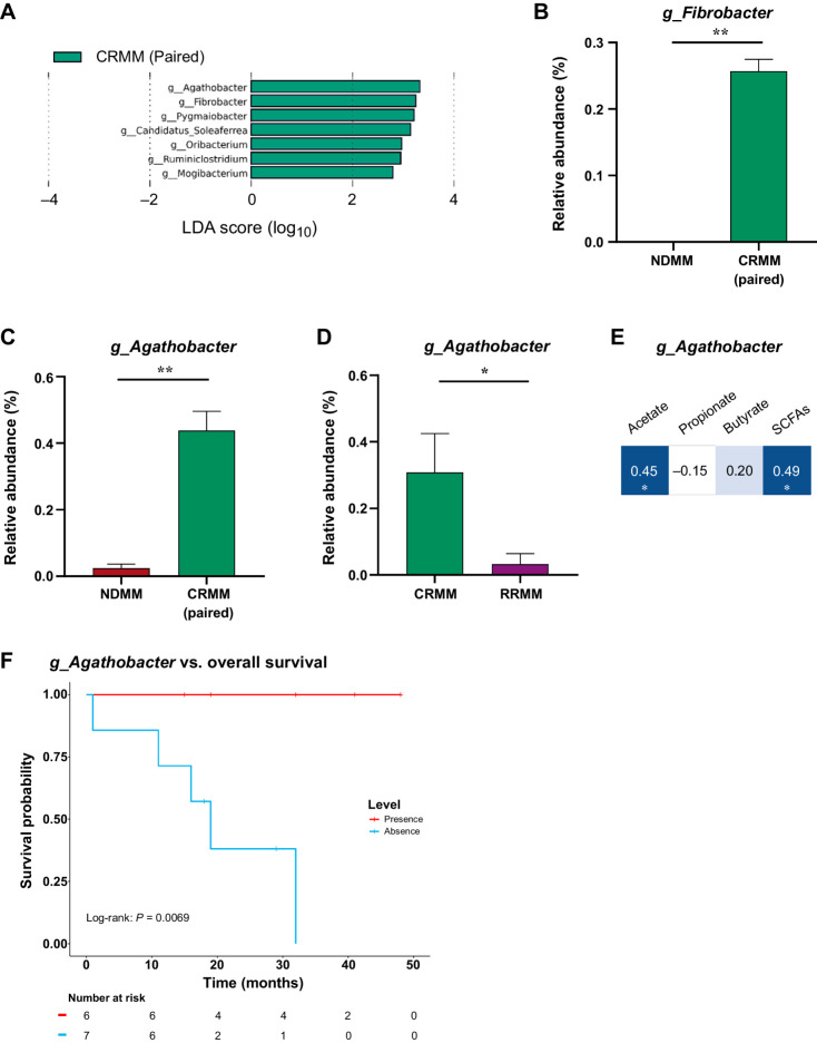 Figure 4. Gut microbiota associated with the survival of the disease. A, Taxonomic biomarkers identified by LEfSe analysis between multiple myeloma at diagnosis (NDMM) and at complete remission (CRMM) in paired samples. B–D, Relative abundance (%) of the genus (B) Fibrobacter and (C) Agathobacter in paired samples and (D) Agathobacter in CRMM and RRMM. The results are represented by mean ± SEM. *, P < 0.05. E, Correlation between Agathobacter and SCFAs. Blue color represents a positive correlation (Pearson correlation) and the intensity is proportional to the correlation coefficients. Significant correlation is indicated by * (P < 0.05). F, Kaplan–Meier curve representation of survival probability in patients after receiving treatment (CRMM and RRMM) with presence (red) or absence (blue) levels of Agathobacter.