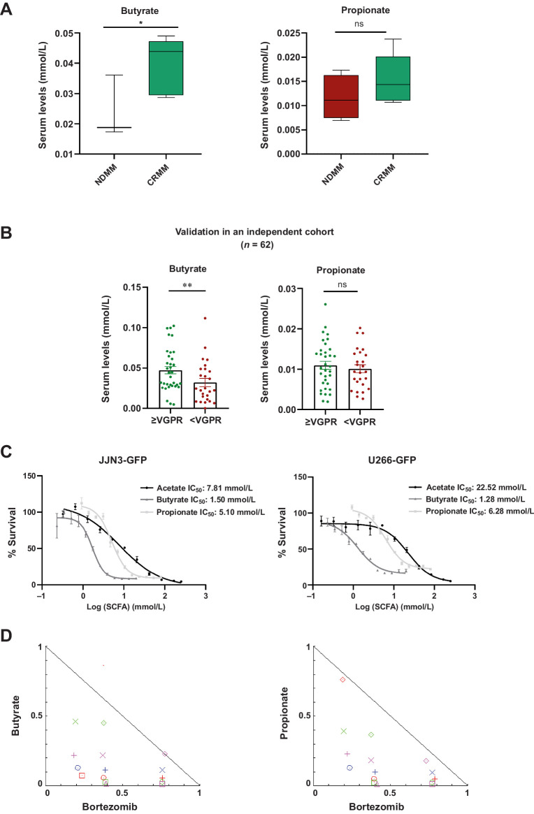 Figure 6. The SCFA levels in the response to treatment and their antiproliferative effects in multiple myeloma cell lines. A, Butyrate levels and propionate (mmol/L) in serum in patients with NDMM compared with patients at complete remission (CRMM). B, Propionate and butyrate levels (mmol/L) in serum at the time of diagnosis in a cohort from the randomized clinical trial NCT02575144 according to the achievement of a response equal or better than very good partial response (≥VGPR) or not (<VGPR). The results are represented by box and whiskers (minimum to maximum) and by mean ± SEM. *, P < 0.05. C, Dose–response curves of SCFAs in JJN3-GFP and U266-GFP MM cell lines. The IC50 value is shown for acetate, butyrate, and propionate. D, Normalized isobolograms for butyrate and propionate in combination with bortezomib, respectively in the JJN3-GFP cell line.