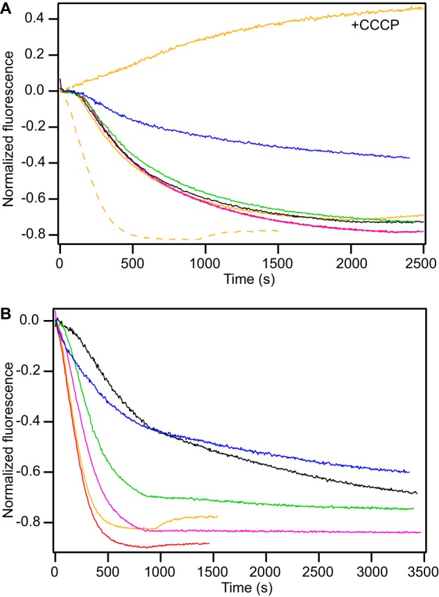 FIGURE 3.