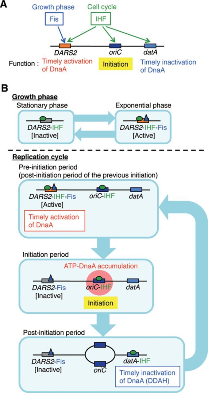 Figure 7.