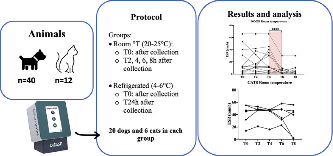 Image, graphical abstract