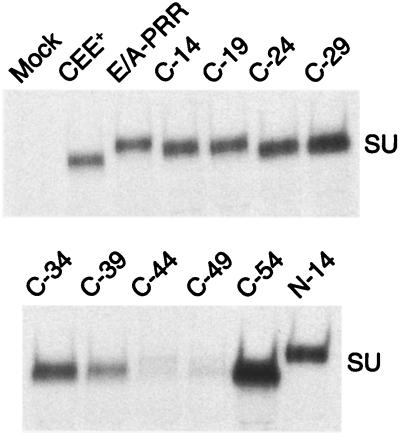 FIG. 6