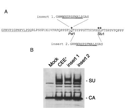 FIG. 7