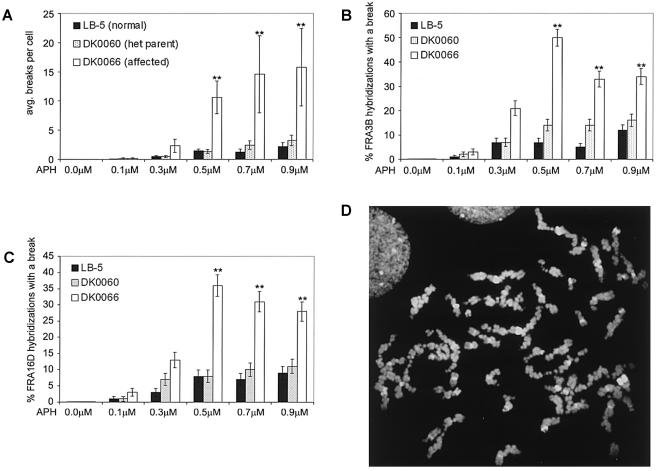 Figure  4