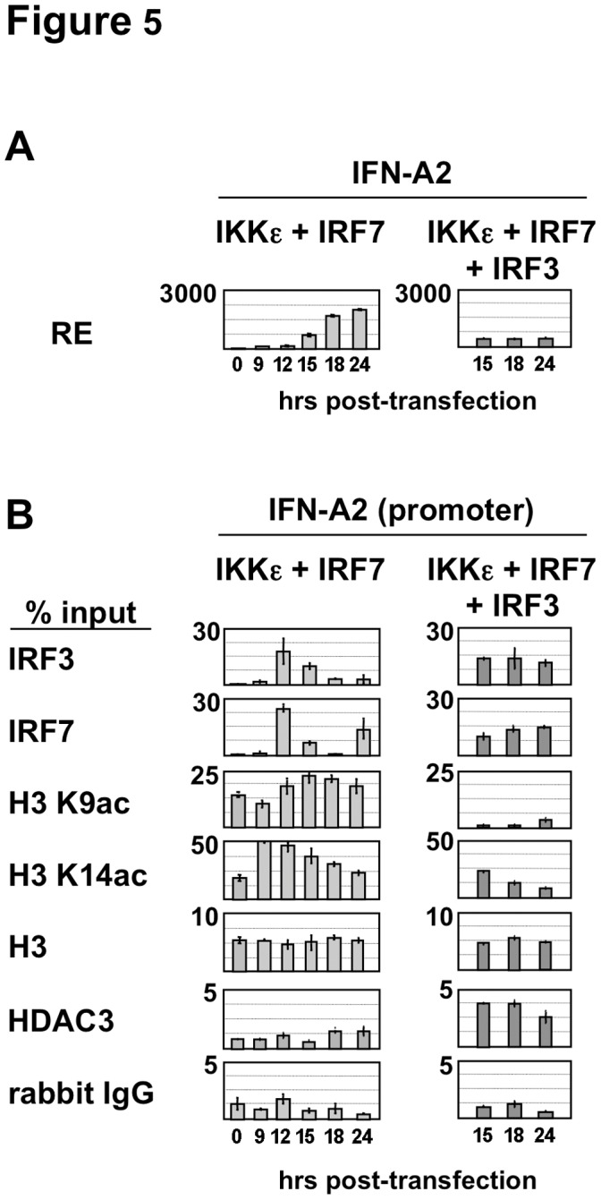 Figure 5