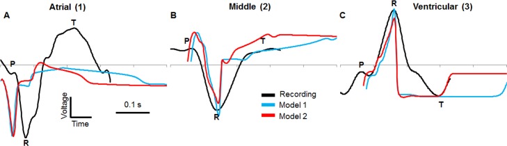 Fig 7