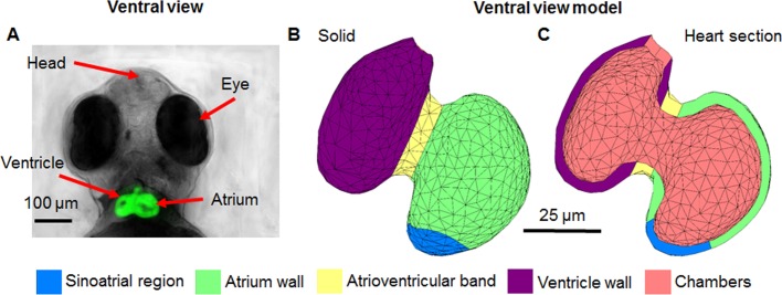 Fig 2