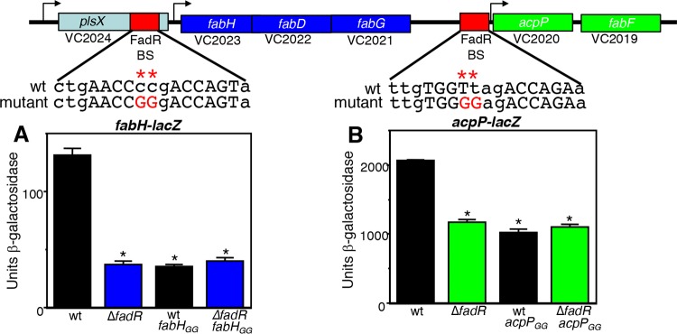 FIG 6