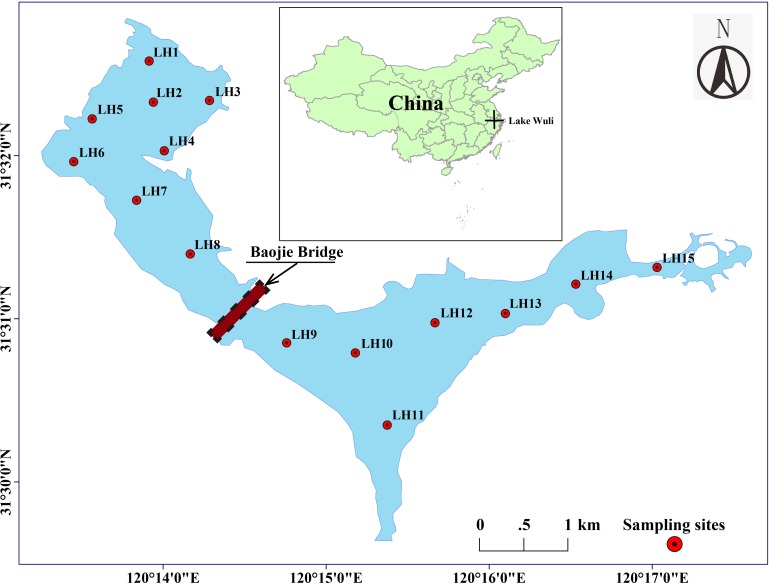 FIGURE 1