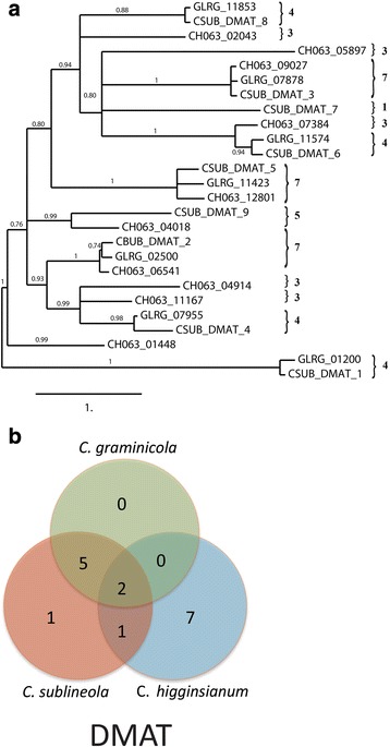 Fig. 8