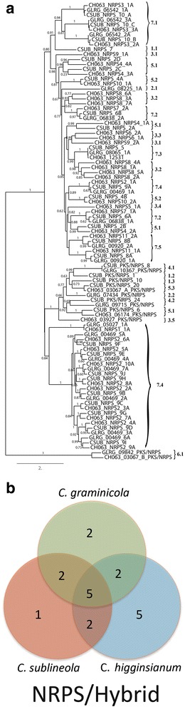 Fig. 9