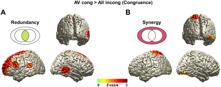 Fig 4