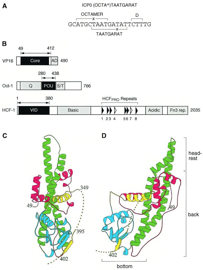 FIG. 1