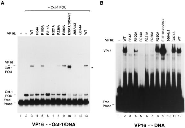 FIG. 7