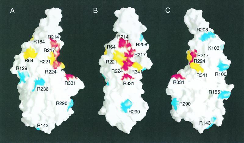 FIG. 10