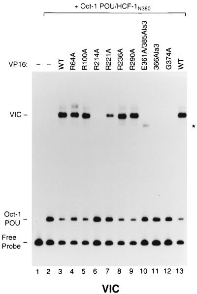 FIG. 5