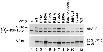 FIG. 6