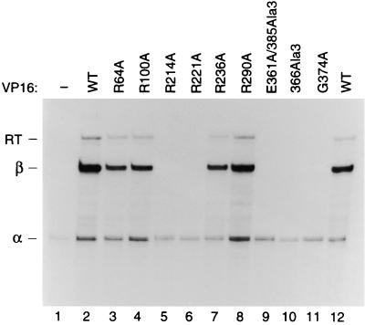 FIG. 9