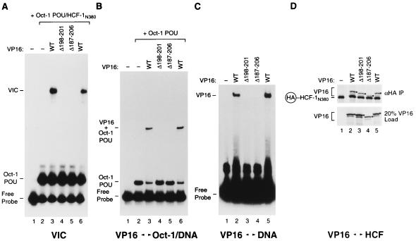 FIG. 8