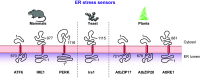 FIGURE 12.